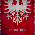 Powiatowe Obchody 99. Rocznicy Wybuchu Powstania Wielkopolskiego