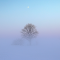 Ostrzeżenie meteorologiczne - gęsta mgła
